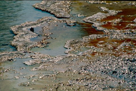 Silex Spring, Lower Geyser Basin, Yellowstone WY (2000)