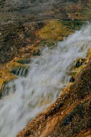 Overflow from Excelsior Geyser, Midway Basin, Yellowstone WY (20