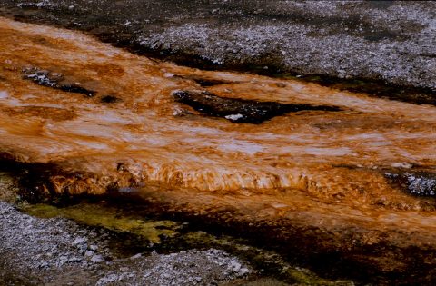 Algae Beds, Grand Prismatic Pool, Midway Basin, Yellowstone WY (