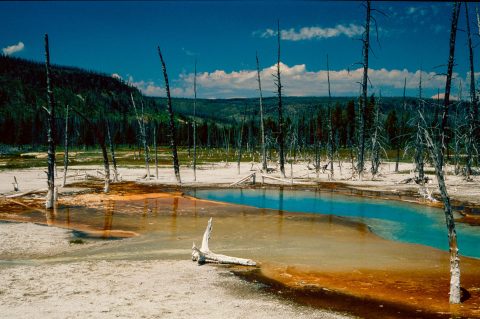 Opalescent Pool, Black Sand Geyser Basin, Yellowstone WY (2000)