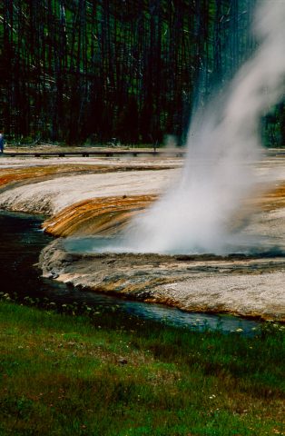 Iron Spring Creek, Black Sand Basin, Yellowstone WY (2000)