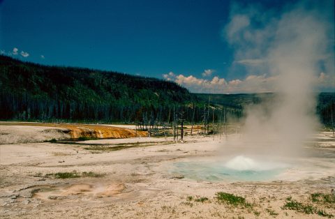 Spouter Geyser, Black Sand Geyser Basin, Yellowstone WY (2000)