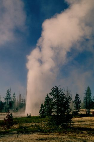 Twin Geyser,  West Thumb Geyser Basin, Yellowstone WY (2000)