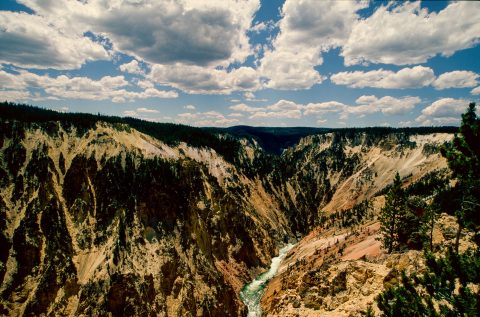Grand Canyon of Yellowstone, WY (2000)
