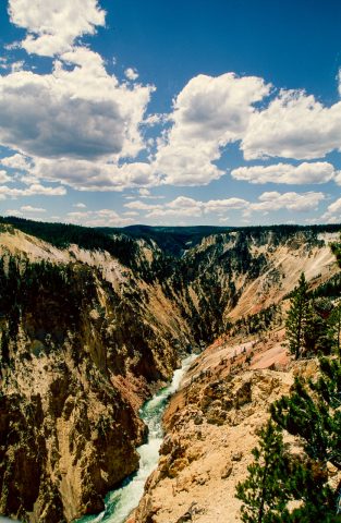 Grand Canyon of Yellowstone, WY (2000)