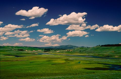 Yellowstone River & Hayden Valley, Yellowstone WY (2000)
