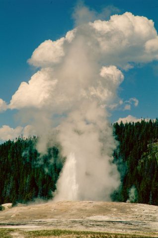 Old Faithful, Upper Geyser Basin, Yellowstone WY (2000)
