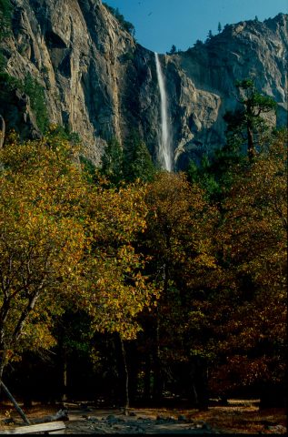 Brideveil Falls, Yosemite (1999)