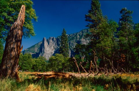 View from Cook's Meadow, Yosemite (!999)