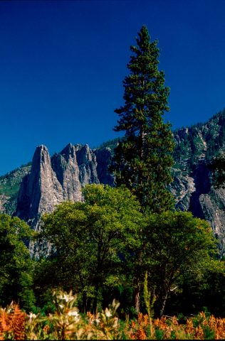 View from Cook's Meadow, Yosemite (!999)