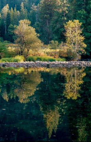 Reflection Merced River, Yosemite (1999)