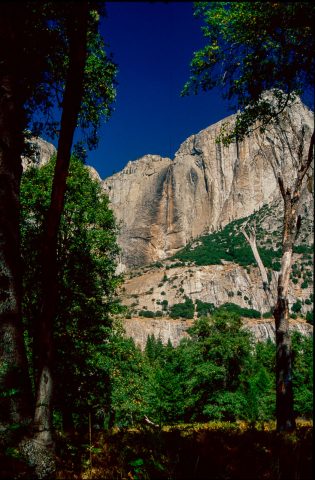 View from Cook's Meadow, Yosemite (!999)