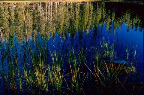 Siesta Lake, Yosemite (1999)