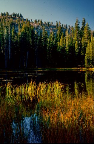 Siesta Lake, Yosemite (1999)
