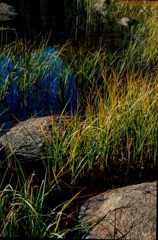 Siesta Lake, Yosemite (1999)