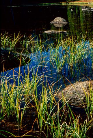Siesta Lake, Yosemite (1999)