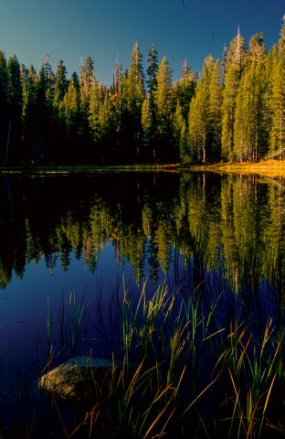 Siesta Lake, Yosemite (1999)