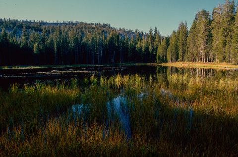 Siesta Lake, Yosemite (1999)