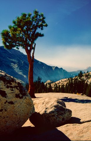 Olmstead Point, Yosemite (1999)