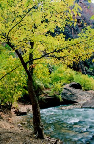Virgin River, Zion Canyon,  Utah (1996)