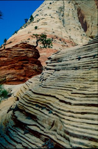 Upper Zion Canyon, Utah (1996)