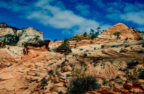 Upper Zion Canyon, Utah (1996)