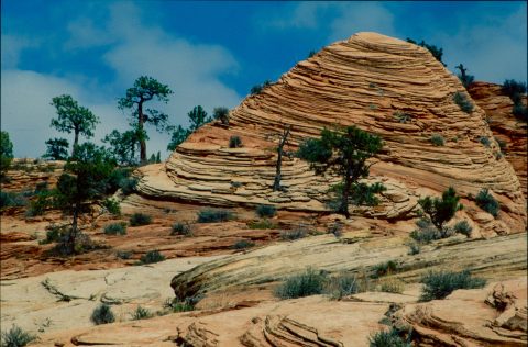 Upper Zion Canyon, Utah (1996)