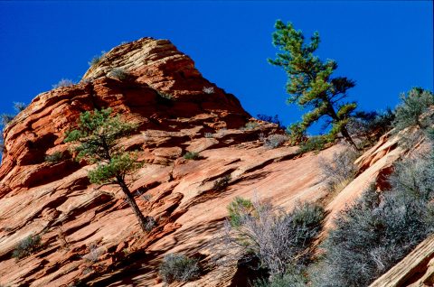 Upper Zion Canyon, Utah (2004)