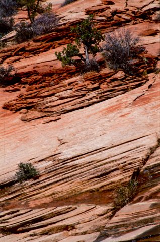 Upper Zion Canyon, Utah (2004)