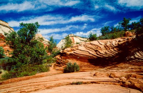 Upper Zion Canyon, Utah (2004)